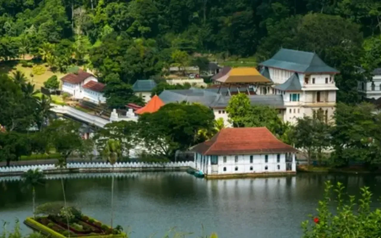 main photo